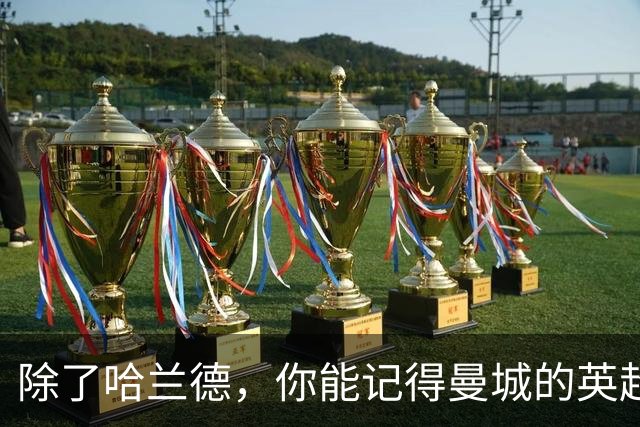 除了哈兰德，你能记得曼城的英超30大射手吗？